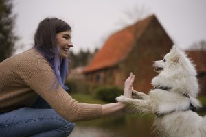 Moment de complicité entre Tohru, petit spitz japonais et sa famille.