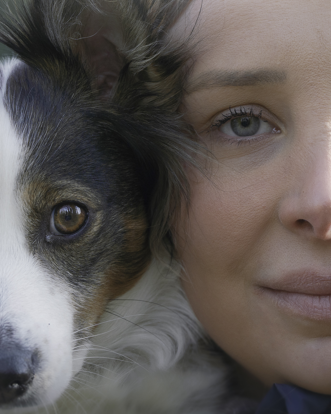 aimer c'est regarder dans la même direction Séance photo en famille avec vos animaux, capturant les liens précieux et les instants complices