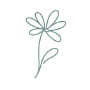 Icône vers la galerie photo nature – série “Hors du temps”