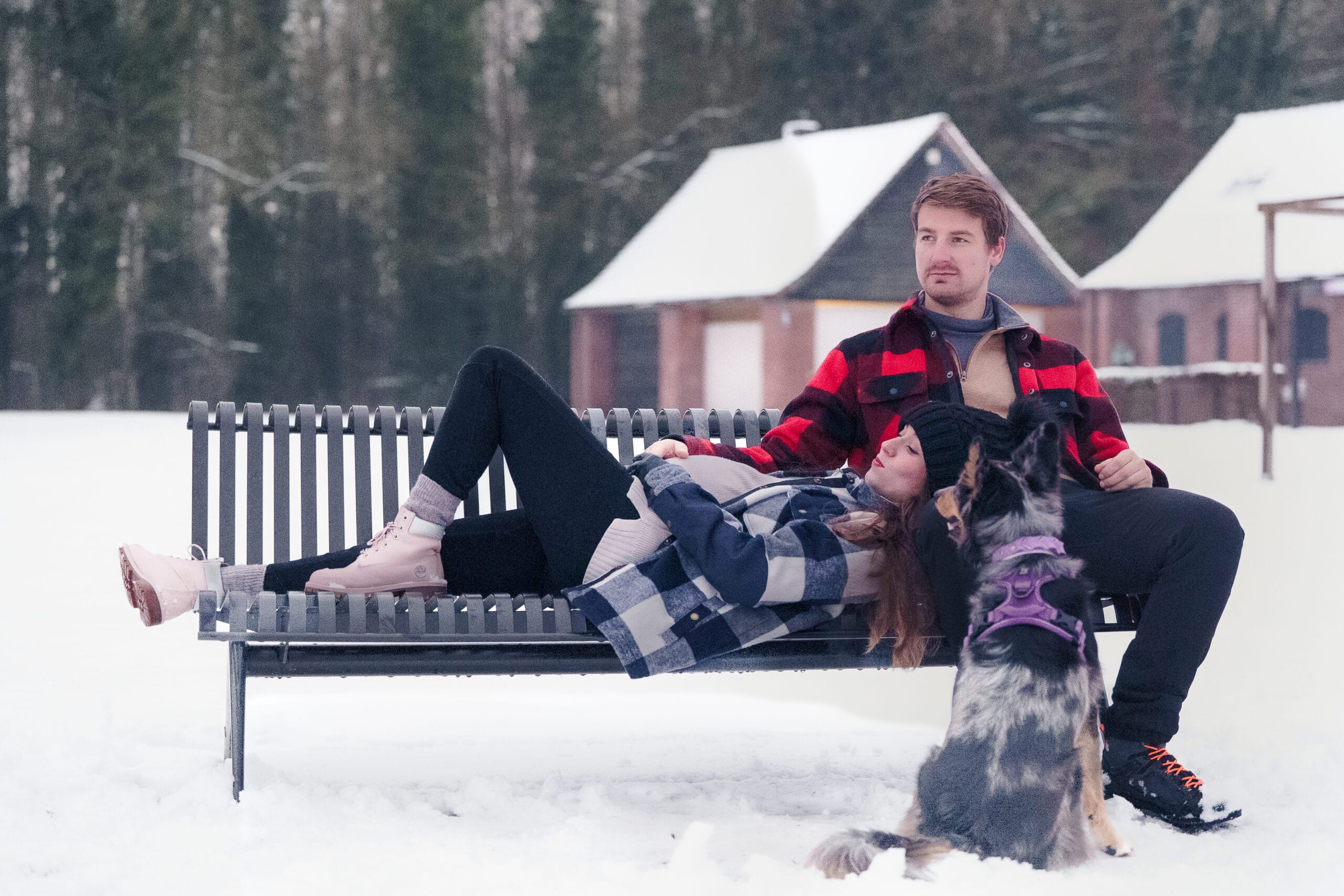 Séance grossesse d'un couple avec leur chien