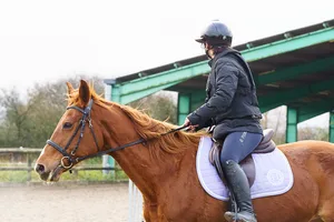 seance photo dans une écurie, portrait d'une cavalière et de son cheval