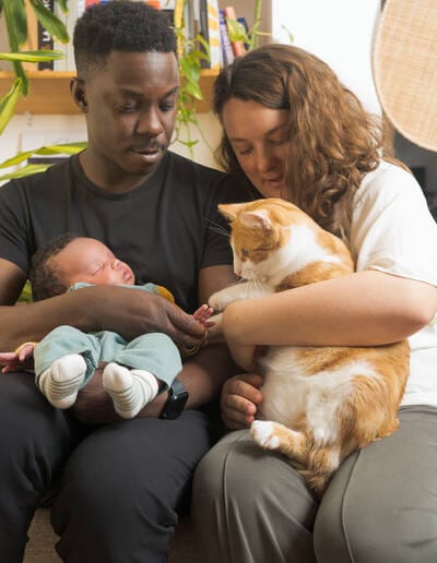 Parents, nouveau-né et chat partageant un moment complice à domicile à Lille